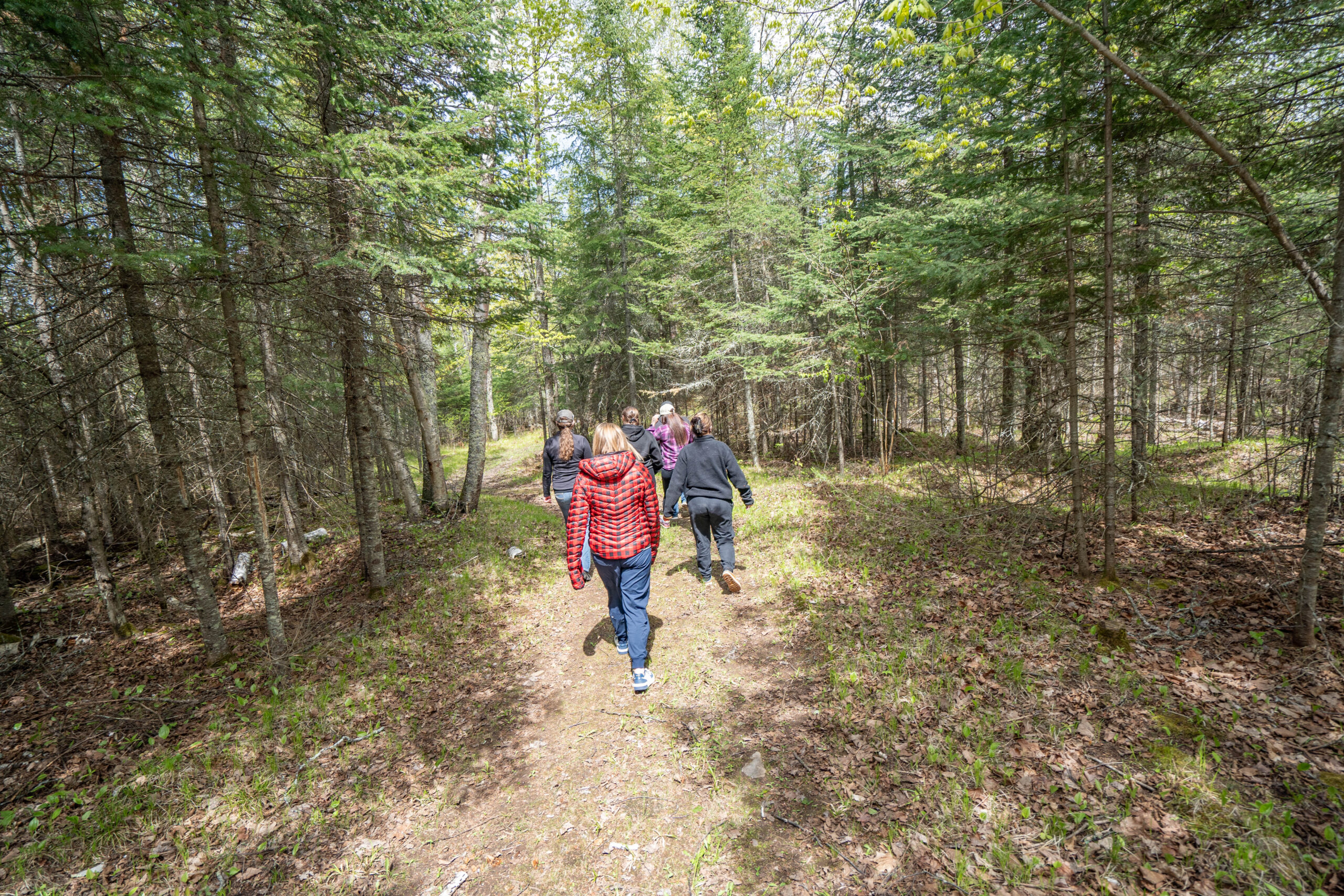 Walking on a trail